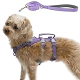 Wuffley Hundegeschirr mit Leine, Sicherheitsgeschirr Hund Ausbruchsicher,...