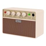 STRICH 2 x 5 W Mini-Bassverstärker - Tragbarer, wiederaufladbarer...