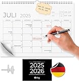 Finoly Kalender 2025/2026 Wandkalender | Monatskalender von Januar 25 bis...