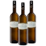 Oberkircher Winzer Grauburgunder trocken - VINUM NOBILE - charaktervoller...