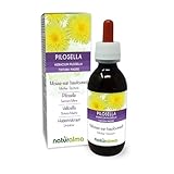 Habichtskraut (Hieracium pilosella) Kraut Alkoholfreier Urtinktur Naturalma...