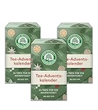 LEBENSBAUM Bio Tee Adventskalender 2024, 24 Bio-Tees für die Adventszeit,...