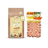 Terra Canis Huhn, Gemüse, Obst & Kokosmehl - Canireo Trockenfutter, 5kg I...