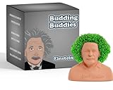 Albert Einstein Lustiger Haustier-Pflanzgefäß – dekorative...