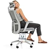 Desktronic Verstellbarer ergonomischer Bürostuhl | Schreibtischstuhl mit...