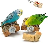 2× Korksitzbrett 10×10 cm – Naturkork inkl. Befestigung + Knabberkorken...