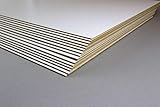 5 Stück Zuschnitte MDF Holzwerkstoff Platten Einseitig Weiß lackiert...