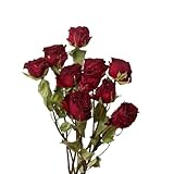 TooGet Natürliche getrocknete Blumen Bouquet, 10 Pcs rote getrocknete...