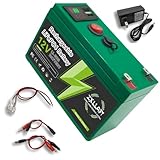 ZXLLAFT LiFePO4-Akku 12 V 15 Ah 10 Ah Lithium-Akku 12 Ah Ersatzakkus 12 V...