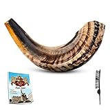 Shofar Horninstrument – RAM Shofar Angels Musikinstrument – Israel Horn...
