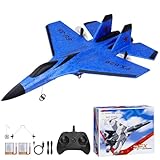 Henakmsl RC Flugzeug 2CH Ferngesteuerter SU35 Kämpfer 2.4GHz RC Flugzeug...