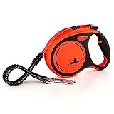 flexi Rollleine Xtreme - Tape Leash schwarz orange, L (1er Pack),...