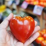 Ochsenherz-Tomate 10 Samen (RAR) (Gigantisch große Tomate) Schön und...