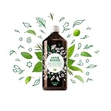 Vita Biosa Kräuter Öko, Die frische und saure Variante, 1 L