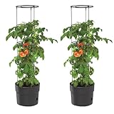 BirnePower 2X Tomatentopf Blumentopf Tomatenkübel 12L Topf für...