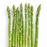 50 Samen Spargel grün - SemiSauvage Permaculture