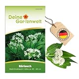 Bärlauch Waldknoblauch Samen - Allium ursinum - Bärlauchsamen -...