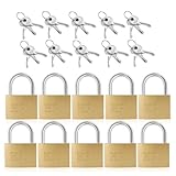 BAIFULAI 10 Stück Vorhängeschloss mit schlüssel, 30 mm Vorhängeschloss...