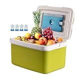 Road Trip Hard Cooler – Persönlicher Kühler mit Griff | 15L...