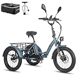 Fafrees F20 Mate E-Bike Dreirad für Erwachsene 48V 21Ah Akku...