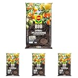 COMPO Bio Zitruspflanzenerde, Erde auch für mediterrane Pflanzen geeignet,...