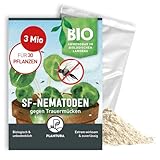 Plantura SF-Nematoden gegen Trauermücken, zum Gießen, hochwirksam &...