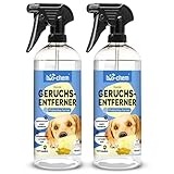 bio-chem Hunde Geruchsentferner Spray 2x 750 ml - Enzymreiniger mit...