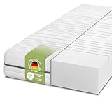 DREAMSTAR Kaltschaummatratze Vital Silber XXL 24 cm hoch| Ergonomische...