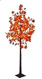 Northpoint LED Herbst Baum Herbstdeko Lichtbaum in Ahorn-Optik In- &...