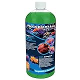 1 Liter Phytoplankton Nannochloropsis Salina, Meerwasser Korallenversorgung...