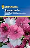 Kiepenkerl Sommermalvensamen Mischung 813 - Besonders gut zwischen hohen...