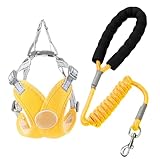 Hundegeschirr für Hunde, verstellbar, kein Ziehen, atmungsaktiver X-Rahmen...