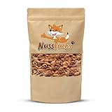 Aprikosenkerne bitter 1kg bittere ganze Aprikosenkerne ungesalzen...