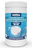 BlueViking Chlortabletten für Pool 5 in 1 - Hochwirksame Multitabs Pool...