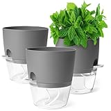 Zouway Blumentopf für 3 Stück - Kräutertopf Selbstbewässernd für...