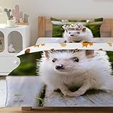 CCZM Niedlicher Igel Bettwäsche 140x200 - Bettbezug 140x200 - Igel...