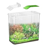 Fish Tank for Betta Fish, Clear Desk Fish Tank, Turtle Tank Starter,...