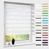 Doppelrollo klemmfix ohne Bohren, Duo Rollos für Fenster & Tür mit...