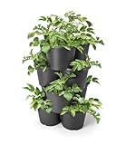 Kartoffel und Tomaten Anzucht Pflanzturm 65 x 42 cm - 4er Set - Kunststoff...