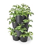 Spetebo Kartoffel und Tomaten Anzucht Pflanzturm 65 x 42 cm - 4er Set -...