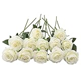 JOYHAZE Künstliche Rosen, 50 cm, einzelner langer Stiel, Seidenblumen,...