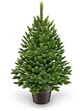 ArtiTree - Künstlicher Weihnachtsbaum 40cm im Topf - Christmas Tree für...