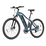 Foride Xtremer 3 29'' E-Bike für Erwachsene, Elektrofahrrad mit 48V 576Wh...