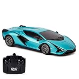 CMJ RC CARS 1:24 Maßstab Offiziell Lizenzierte RC Lamborghini Sián FKP...