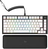 Glorious Gaming GMMK PRO 75% – Modulares mechanisches Gaming-Keyboard,...