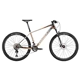 BEDOIN 22 Gänge Mountainbike Carbonrahmen Scheibenbremse Für Herren Damen...