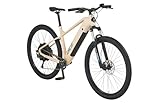 Prophete DICE 2.0 E-MTB 29' – Enovation Hinterradmotor 48V, 250W, 46Nm,...