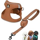 BELLA & PAL Hundegeschirr Kleine Hunde mit Leine, Step-in Geschirr aus Air...