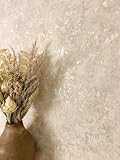 Newroom Tapete Beige Vliestapete Beton - Betonoptik Modern Creme Zement...