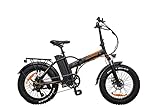 Italia Power - Off Grid Unisex Adulto, E-Bike Branch, Elektrofahrrad Fat,...